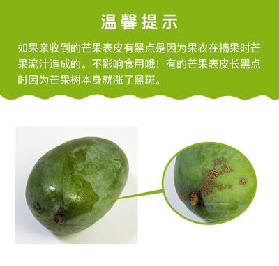 海南芒果 炎夏热土的真“忙”事，甜蜜诱惑让人欲不能停！