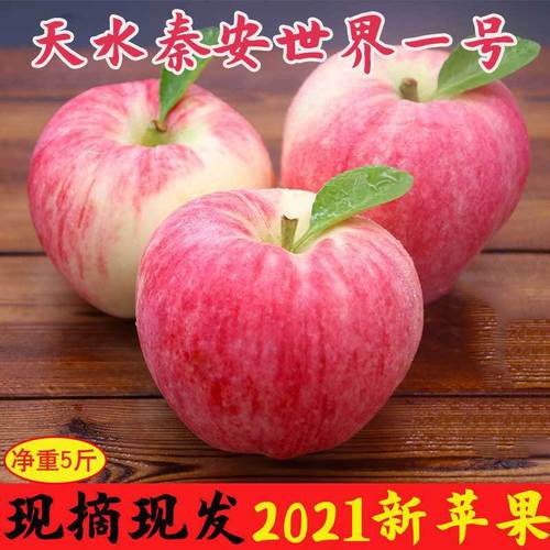 甘肃秦安世界一号苹果 孕妇的理想之选，现摘脆甜的新鲜滋味